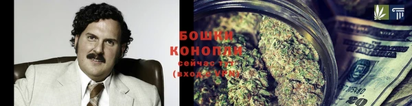 дживик Каменногорск