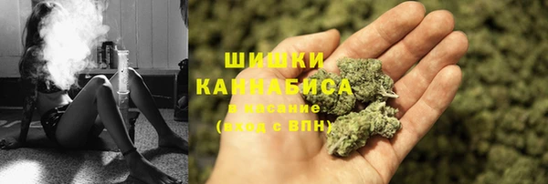 сатива Каменск-Шахтинский