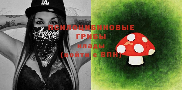 сатива Каменск-Шахтинский