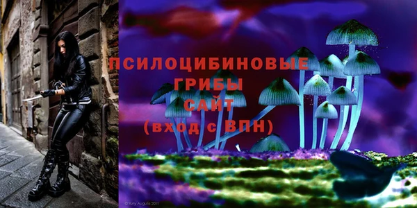 МДМА Каменка