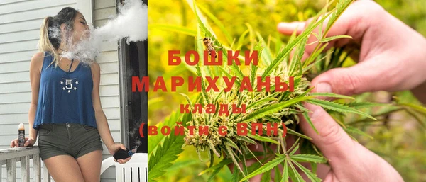 сатива Каменск-Шахтинский