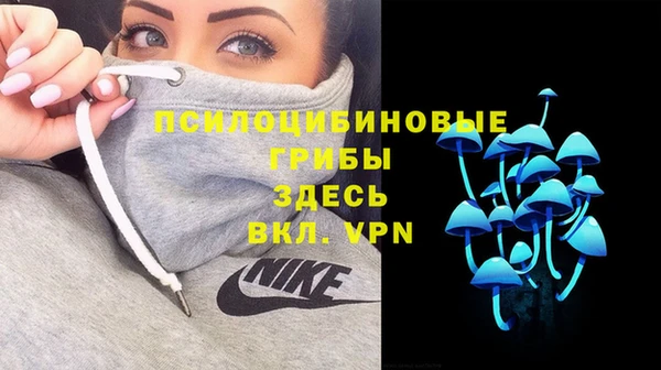 МДМА Каменка