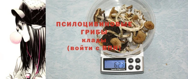 дживик Каменногорск
